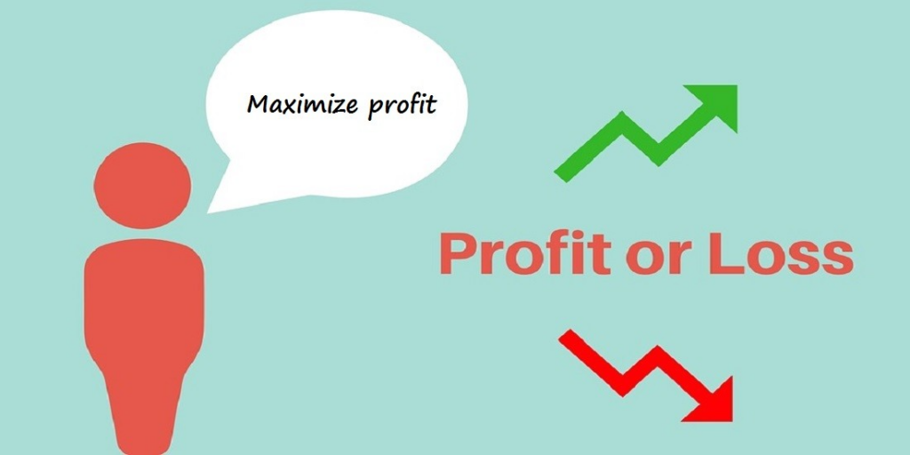 Maximizing profits in small businesses