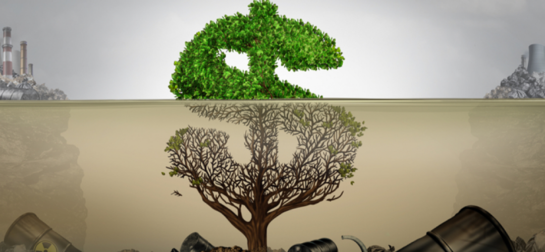 Green crowdfunding: supporting eco-friendly initiatives
