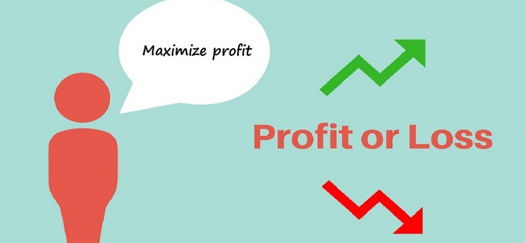 Maximizing profits in small businesses